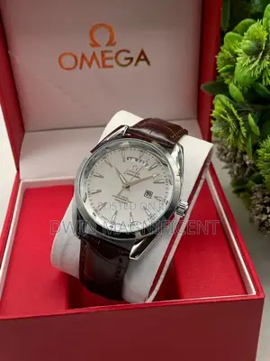Omega Seamaster Aqua Terra 150m Co-Axial Watch