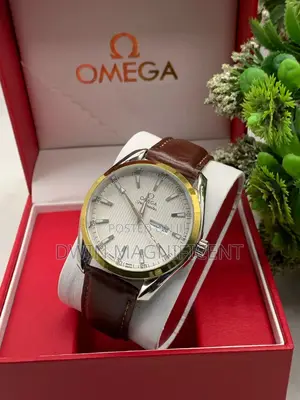 Omega Seamaster Aqua Terra 150m Co-Axial Watch
