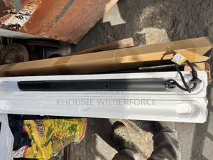 Toyota Rav 4 Boot Shocks