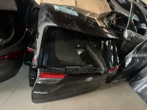 Rav 4 2019 Back Boot