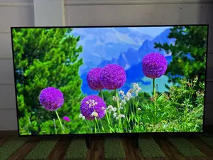 Lg Oled Evo 77 Inches Smart Tv /Bluetooth/Digital Satellite/Netflix
