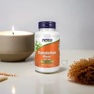 Dandelion Root (100) Capsules