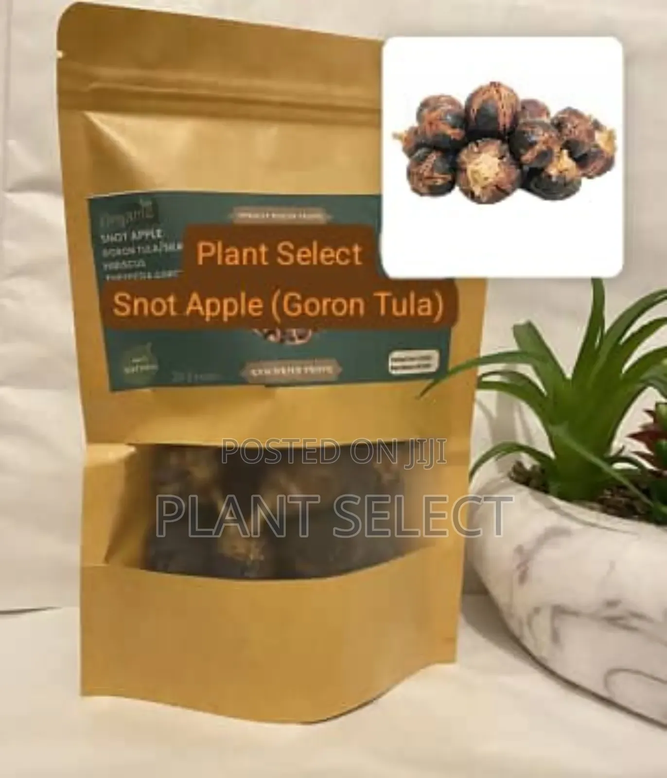 Organic Snot Apple (Goron Tula)