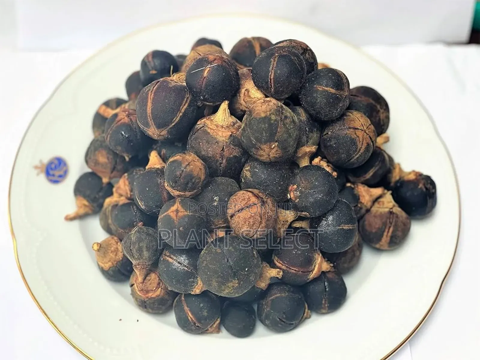 Organic Snot Apple (Goron Tula)