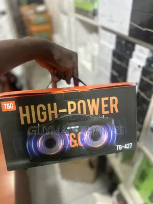 T G Portable Wireless Speaker