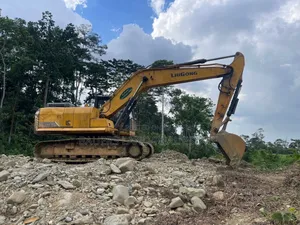 Liugong Crawler Excavator