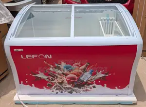 Lefon 389l Ice Cream Freezer