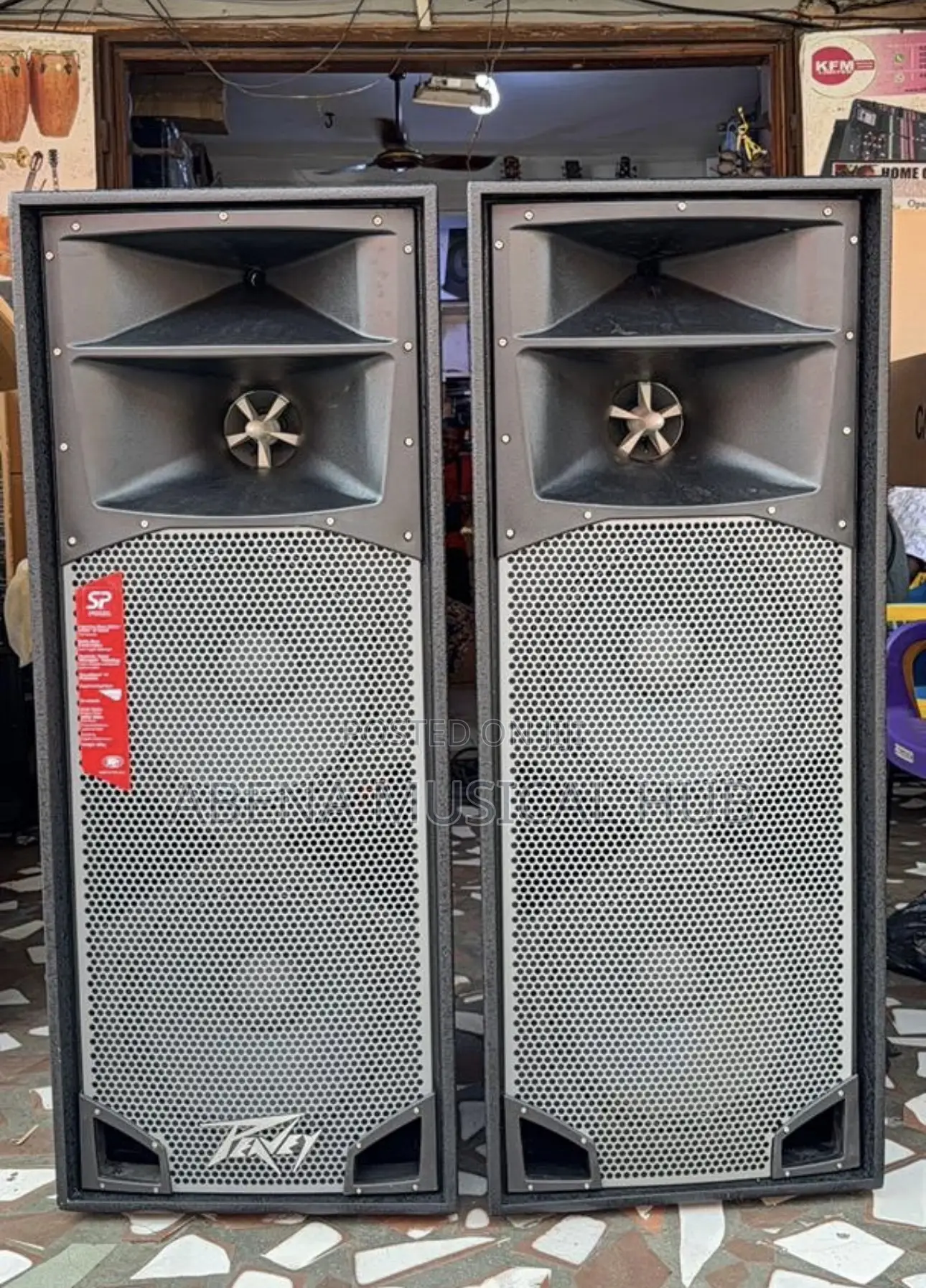 Peavey Full Range Speaker