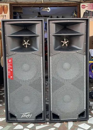 Peavey Full Range Speaker