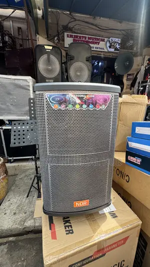 Ndr Bluetooth Speaker 12 Inches With Two Microphones