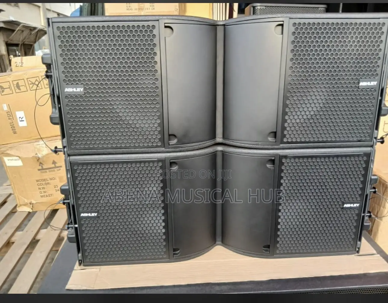 Ashely Line Arrays 12 Inches