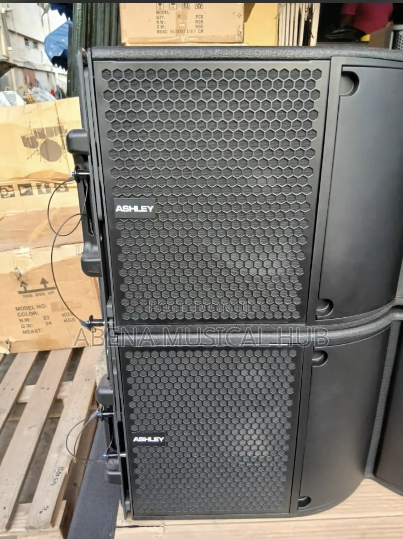 Ashely Line Arrays 12 Inches