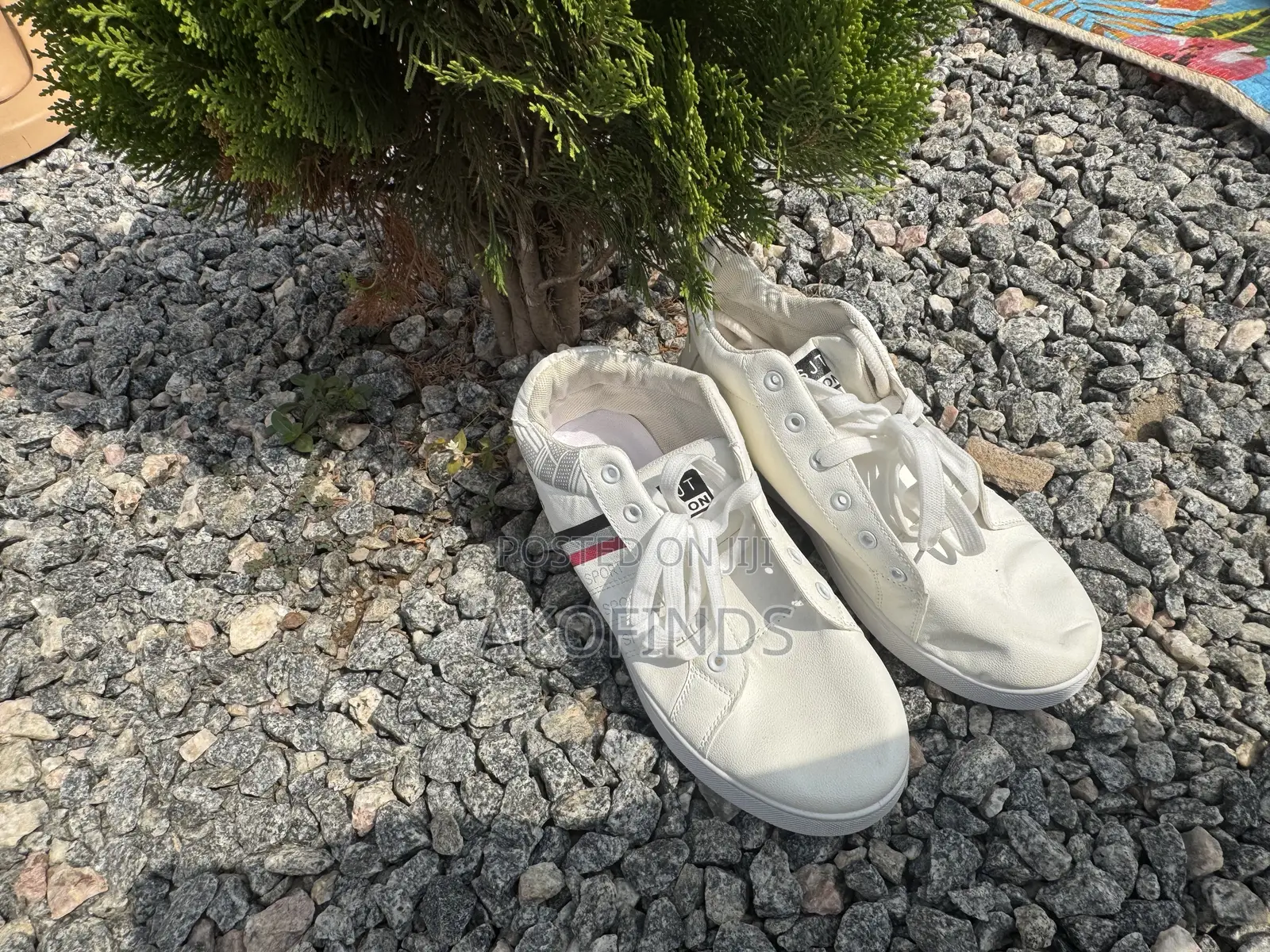 Fashion Shoe