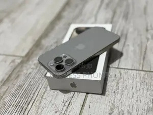 Apple iPhone 15 Pro Max 256 GB Silver