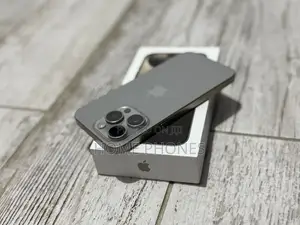 Apple iPhone 15 Pro Max 256 GB Silver