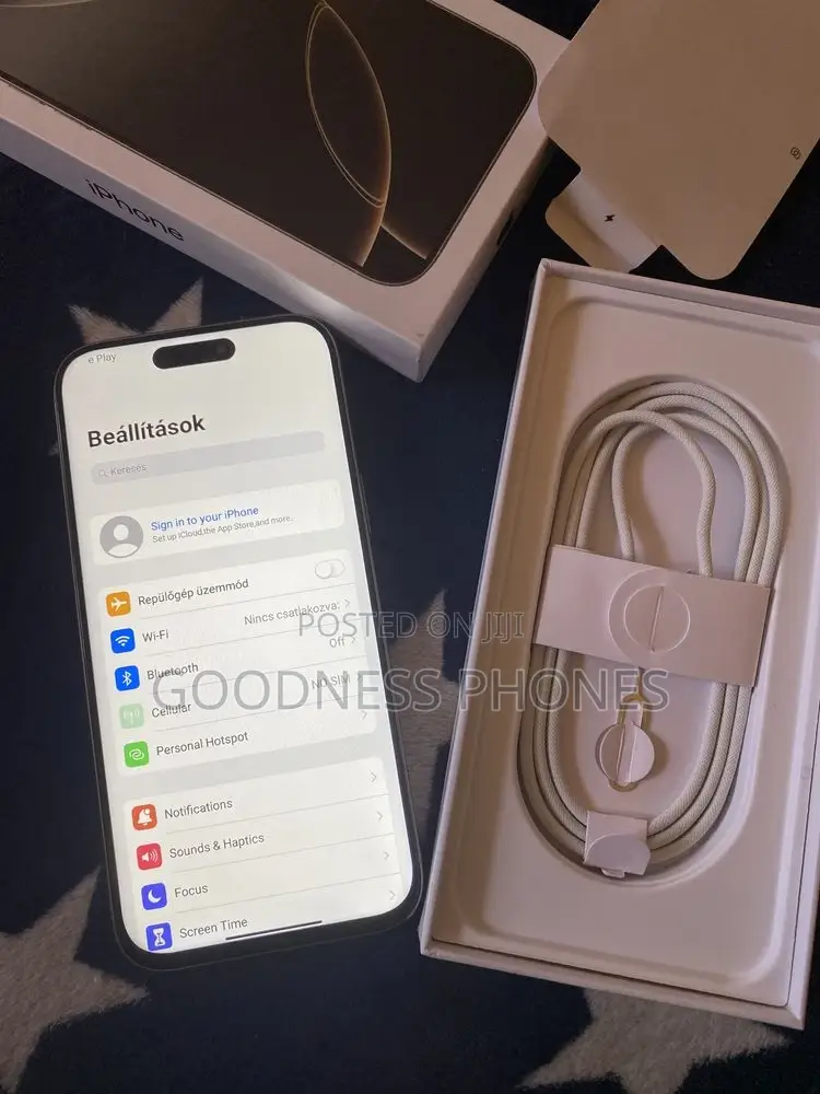 Apple iPhone 16 Pro Max 256 GB Silver