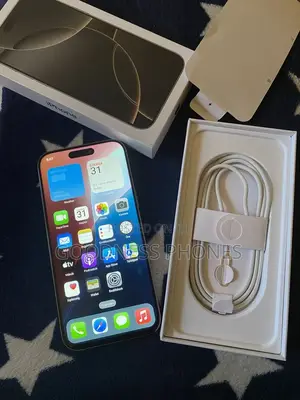 Apple iPhone 16 Pro Max 256 GB Silver