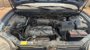 Hyundai Santa Fe 3.5 2003 Blue