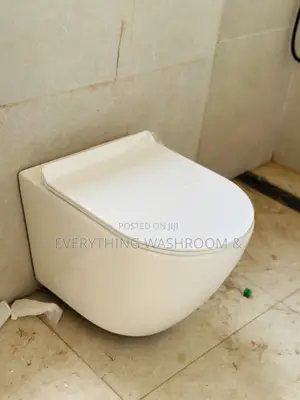 Modern Concealed Toilet Seat Wc_invisible Cistern Wall-Hung Wc
