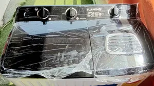 Flamino Twin Tub Washer – Wash Big, Save Energy