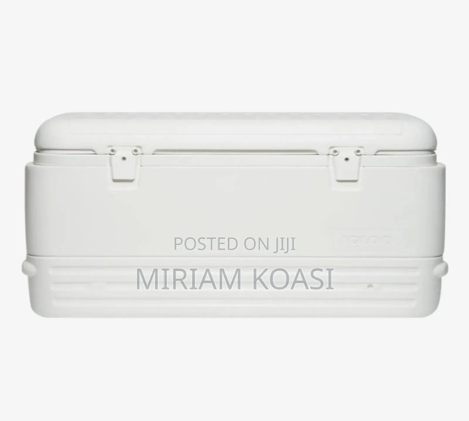 Whitish 142 Litres Ice Chest Igloo: Rent