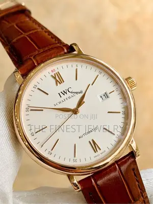 Iwc Portofino Automatic Watch