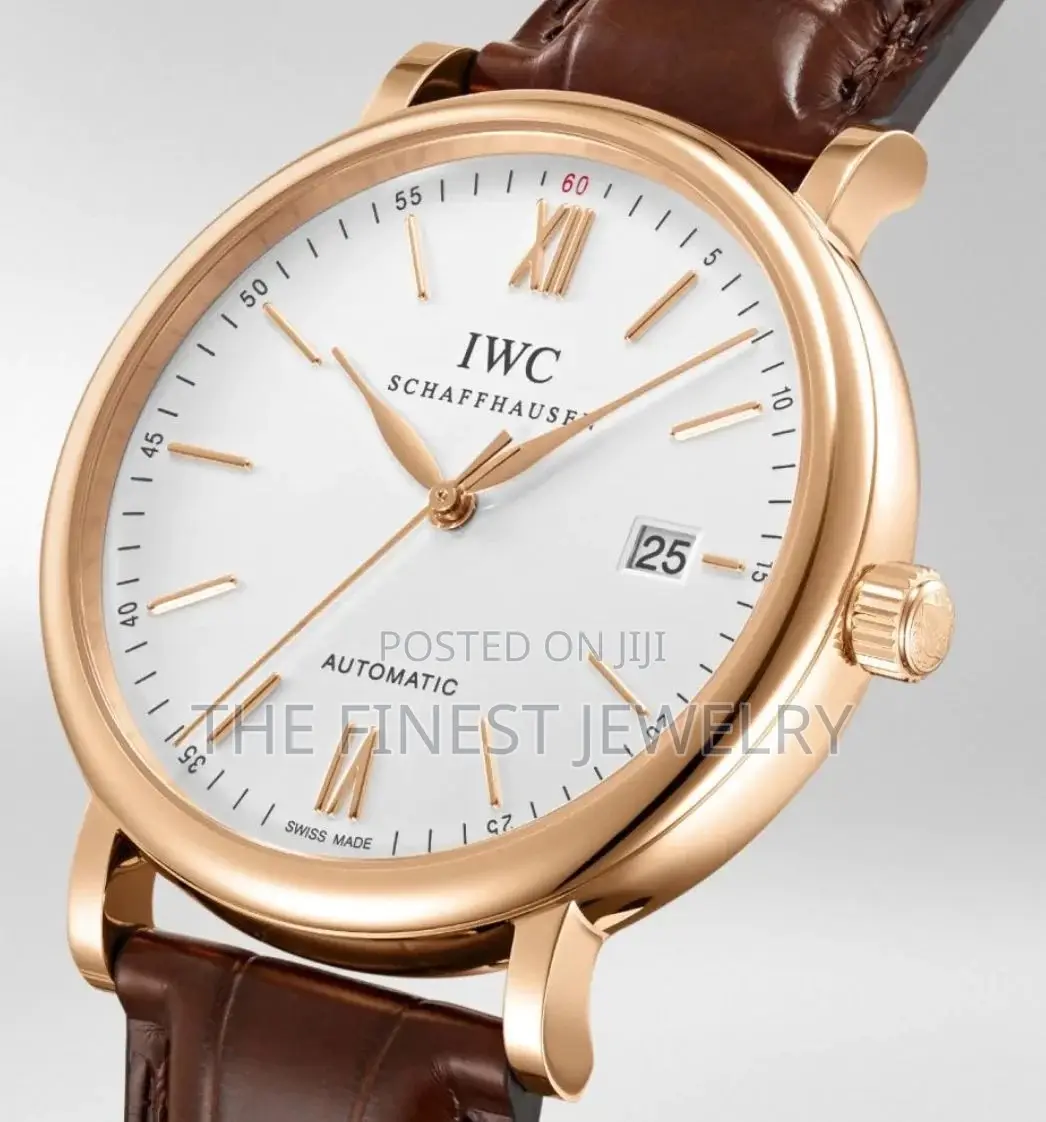 Iwc Portofino Automatic Watch