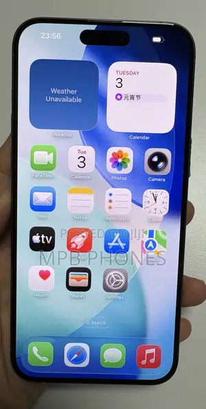 Apple iPhone 15 Pro Max 256 GB Gray