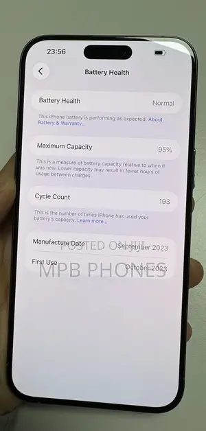 Apple iPhone 15 Pro Max 256 GB Gray