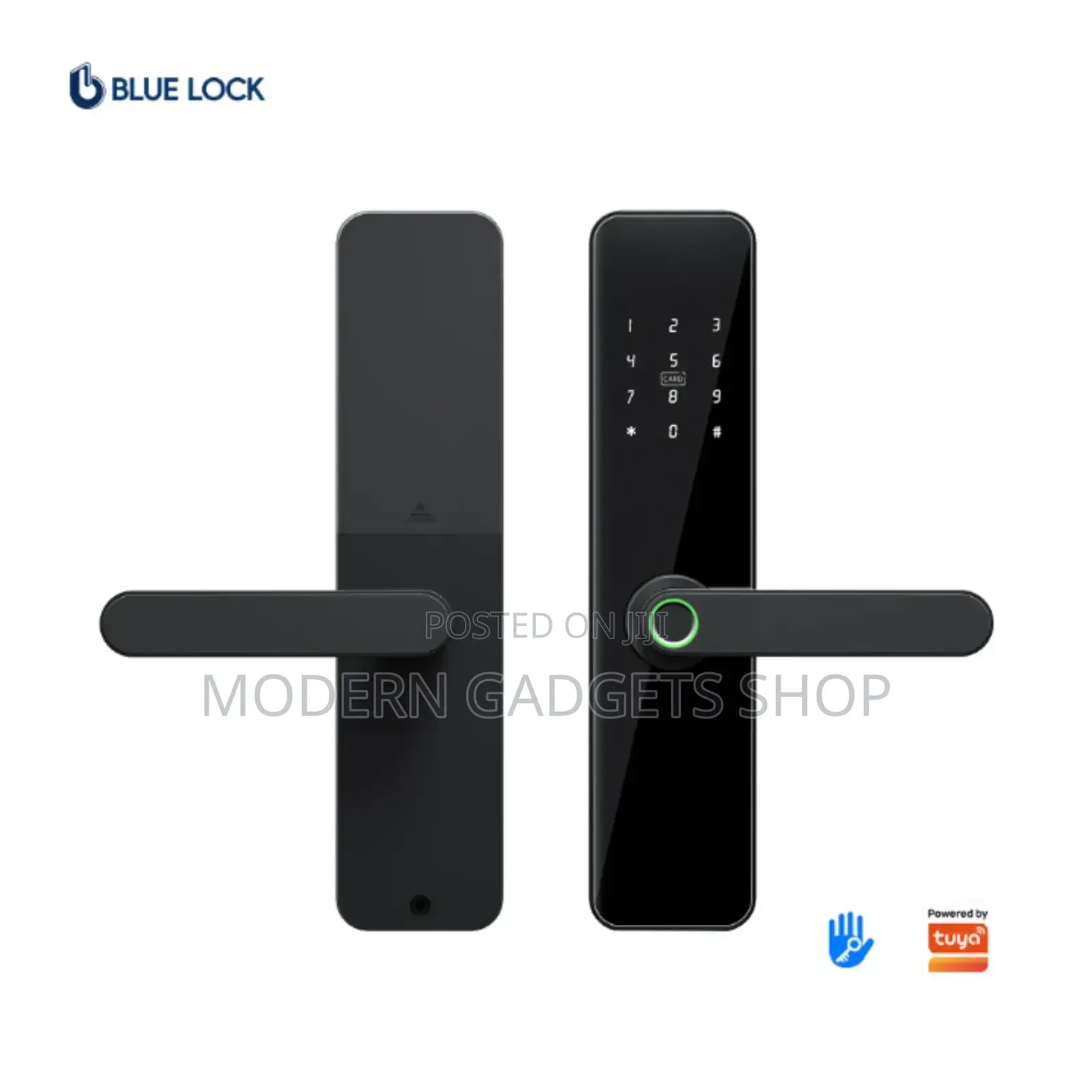 Electronic Intelligent Door Lock