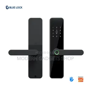 Electronic Intelligent Door Lock