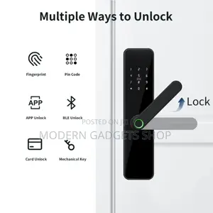 Electronic Intelligent Door Lock