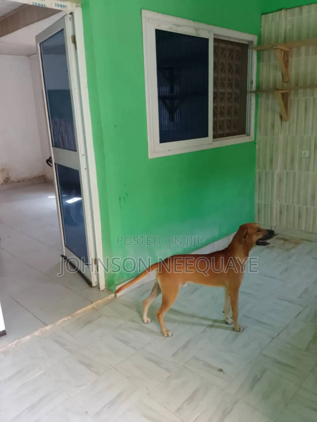 1bdrm House in Tseaddo for rent