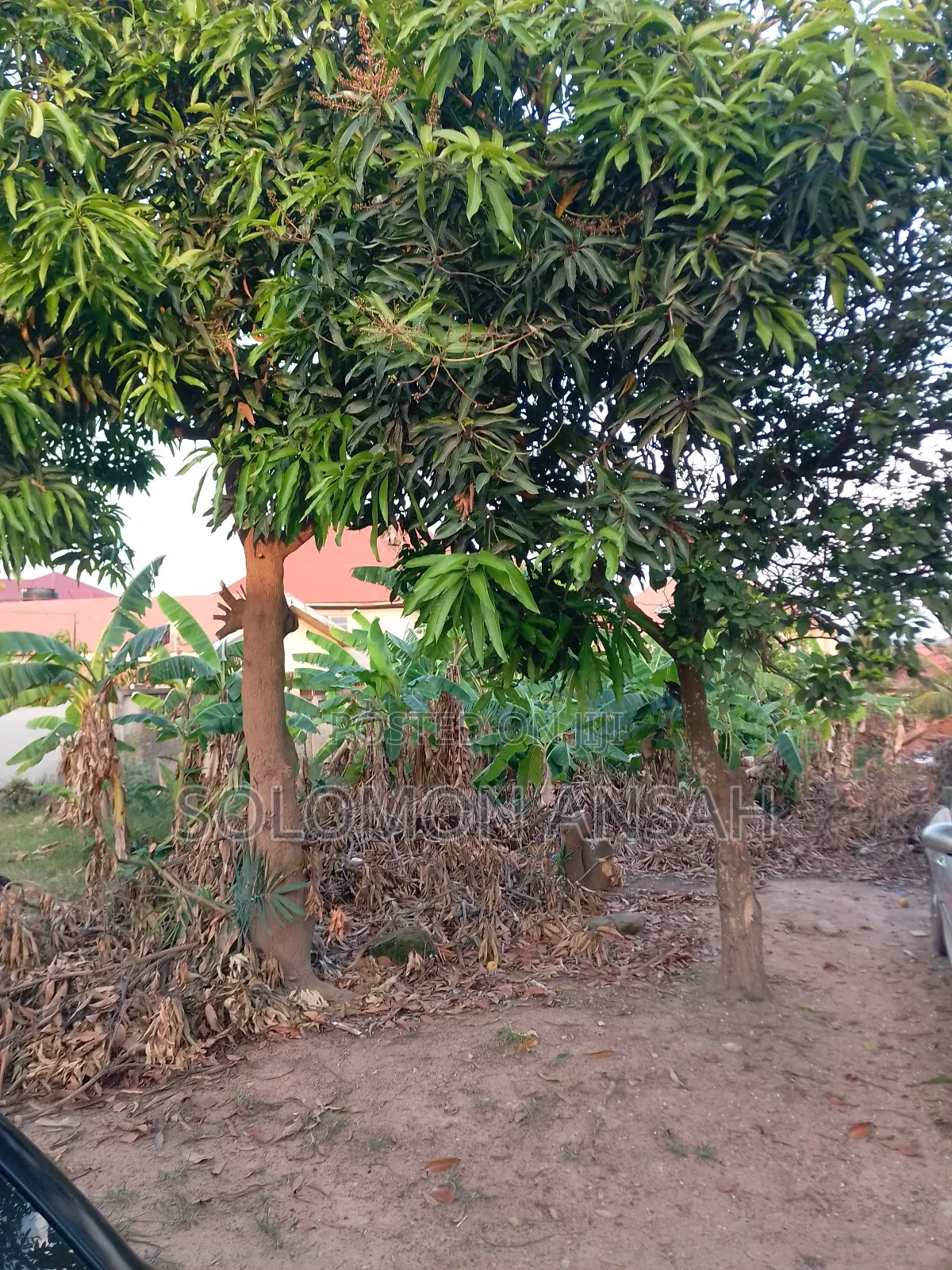 Half Plot of Land for Sale at Esereso