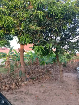 Half Plot of Land for Sale at Esereso