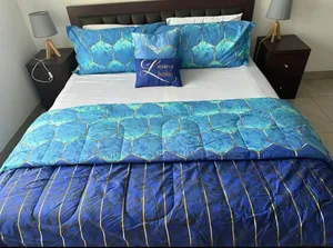 Furnished 4bdrm Apartment in North Ridge for sale