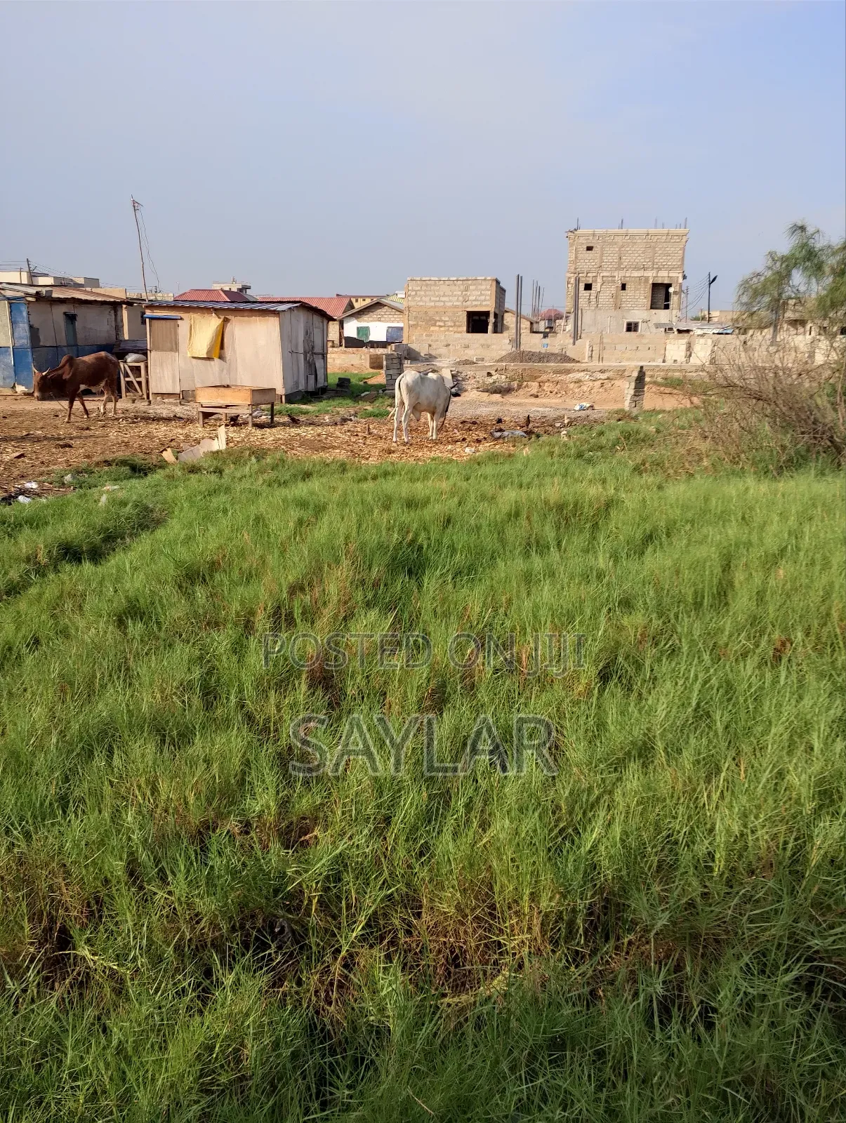 A Special Half Plot Few Meters From the Main Road for Sale Klagon
