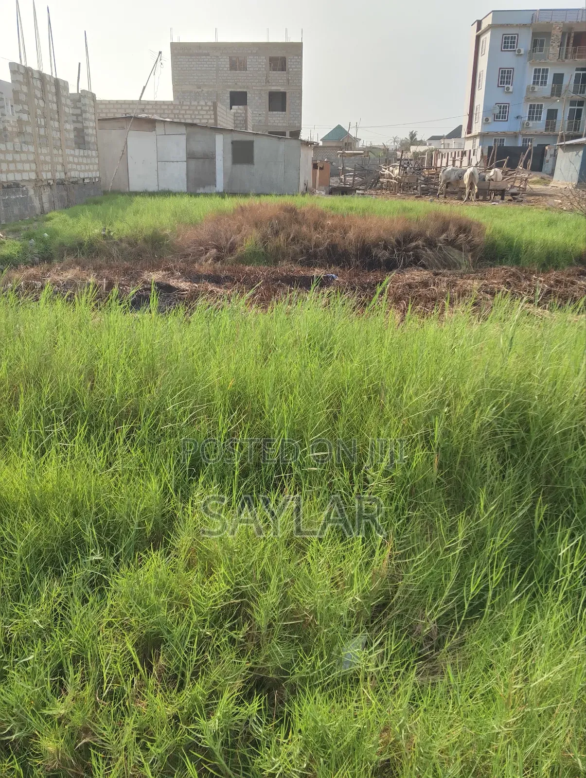 A Special Half Plot Few Meters From the Main Road for Sale Klagon