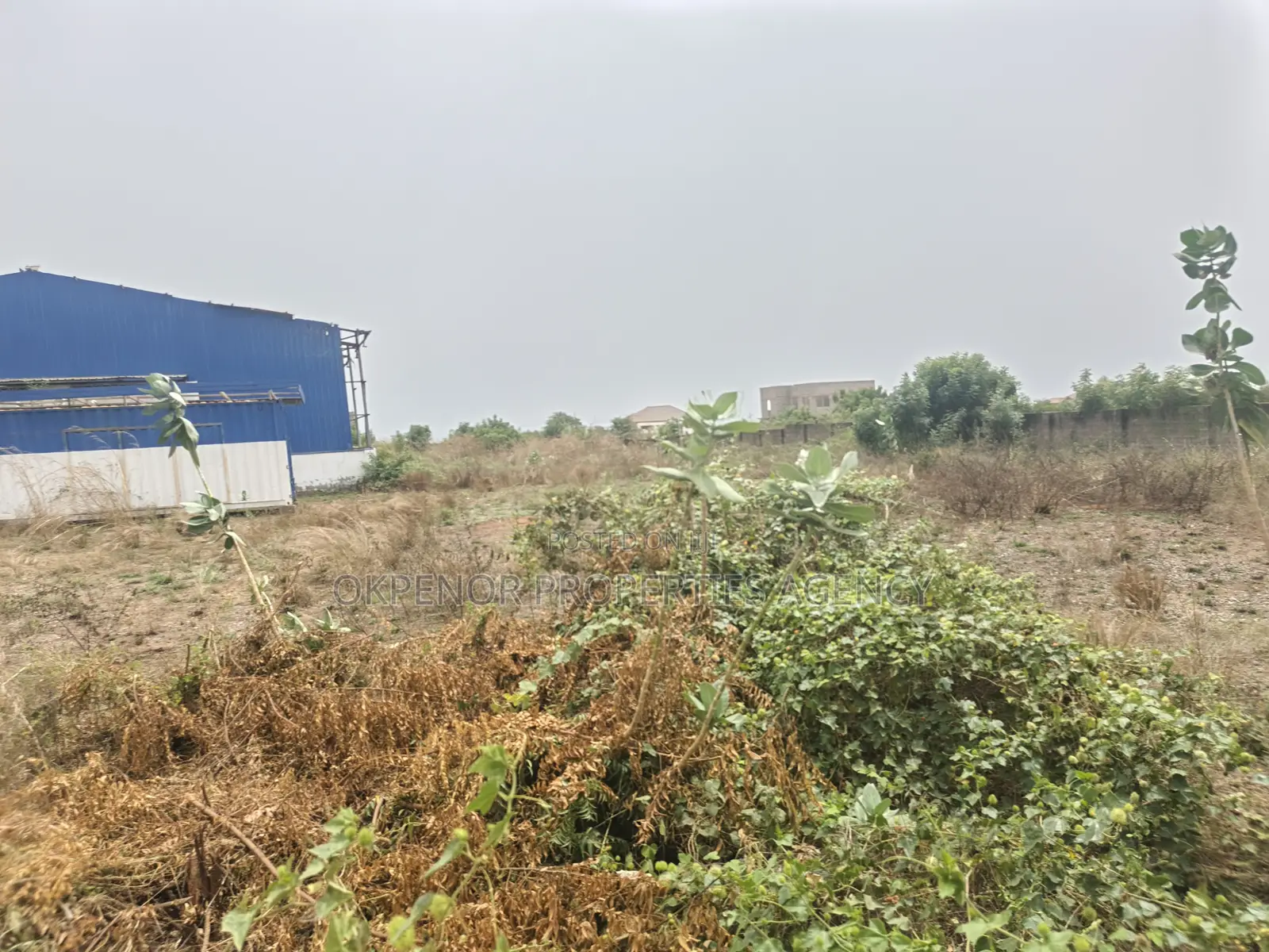 8plot of Land for Sale at Prampram