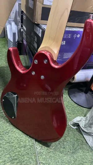 Passive Gibson Bass Guitar With Free Bag
