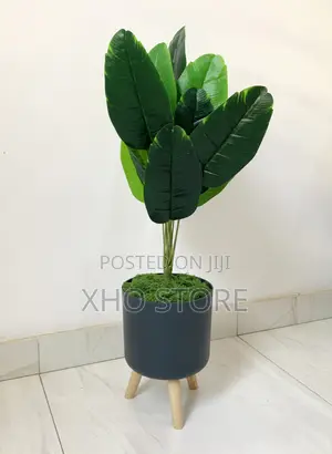 Sophisticated Flowers and Pots Curated for Modern Living Spaces