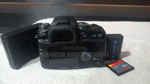 Sony Alpha 100