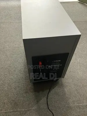 Canton Active Subwoofer