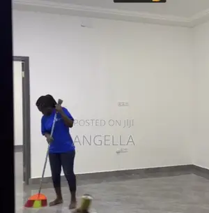 Cleaning Services