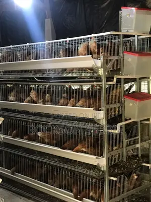 Battery Cage