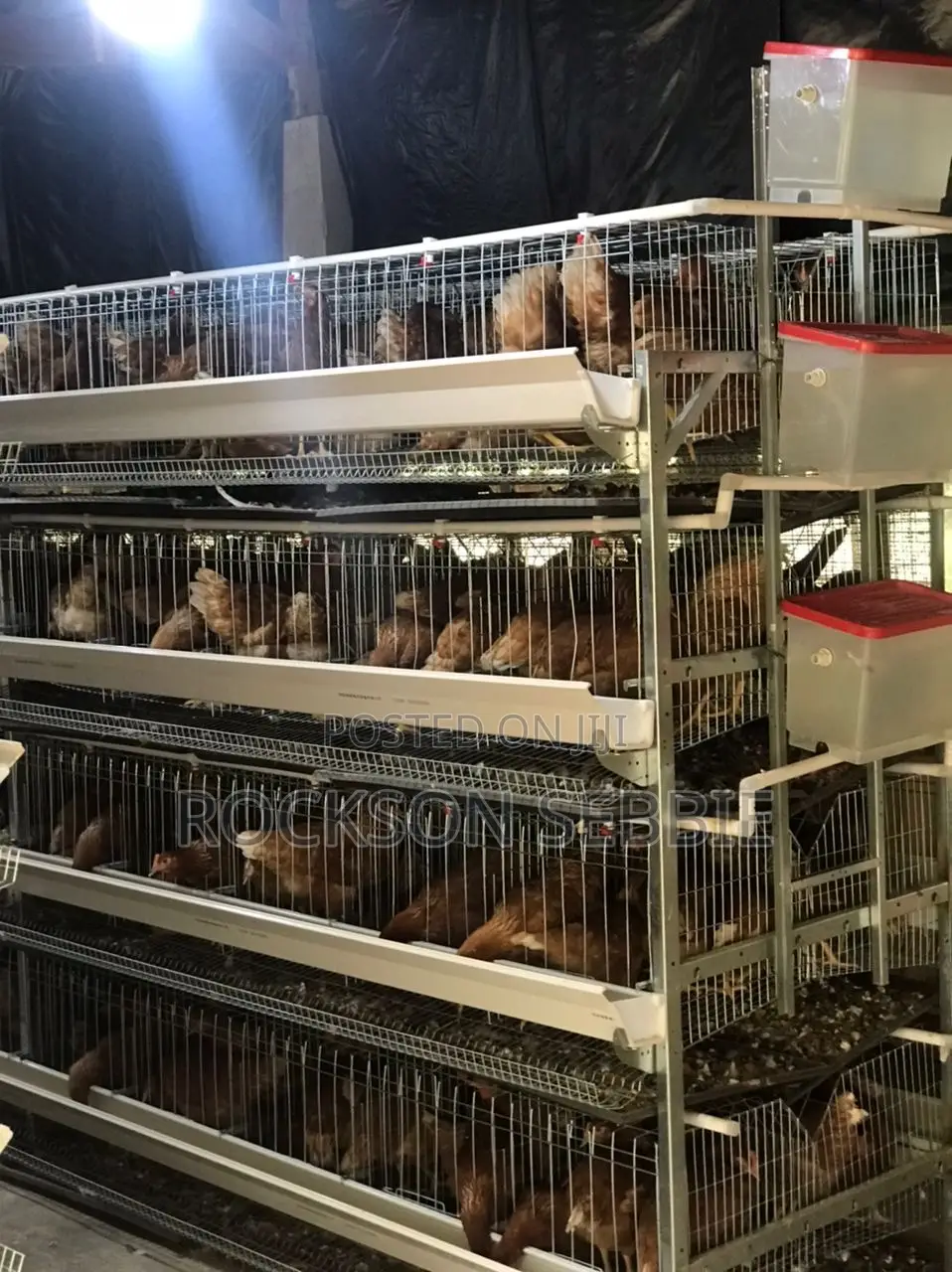 Battery Cage