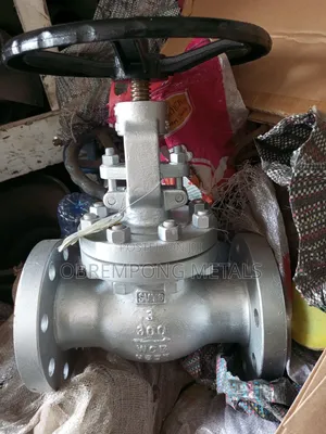 3" Globe Valve 300lbs