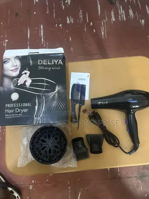 Professional Hair Dryer