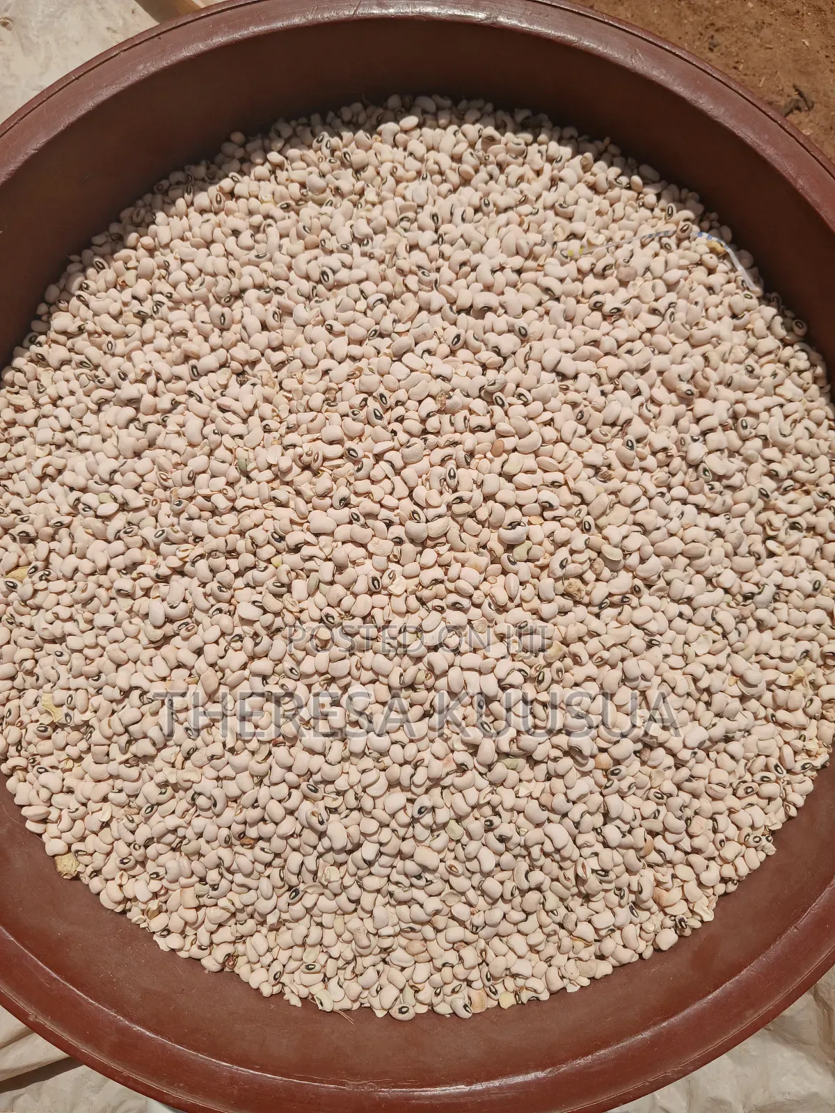 Quality Cowpea in Bowls