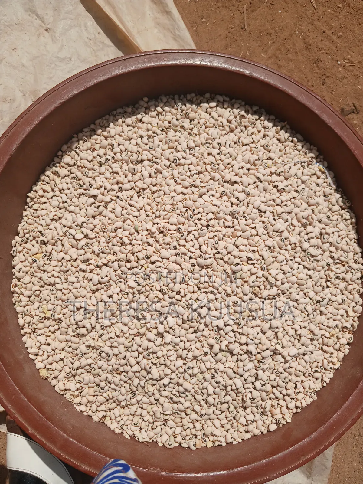 Quality Cowpea in Bowls